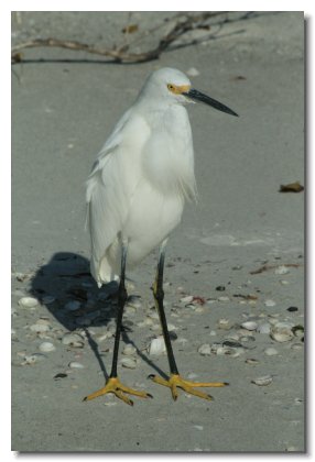 Florida 2009 (14)